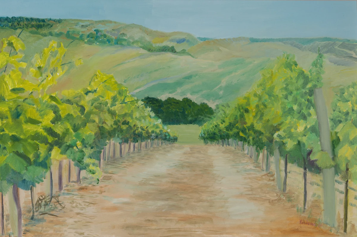 the Lavorata vineyard