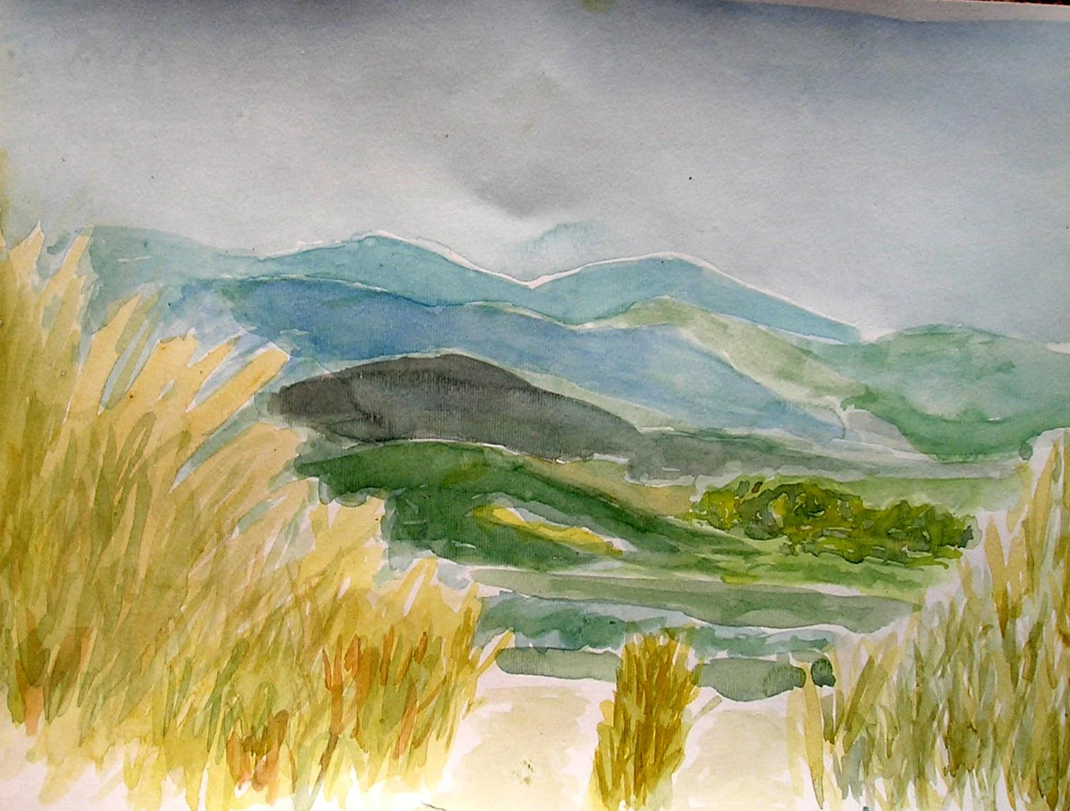 View more