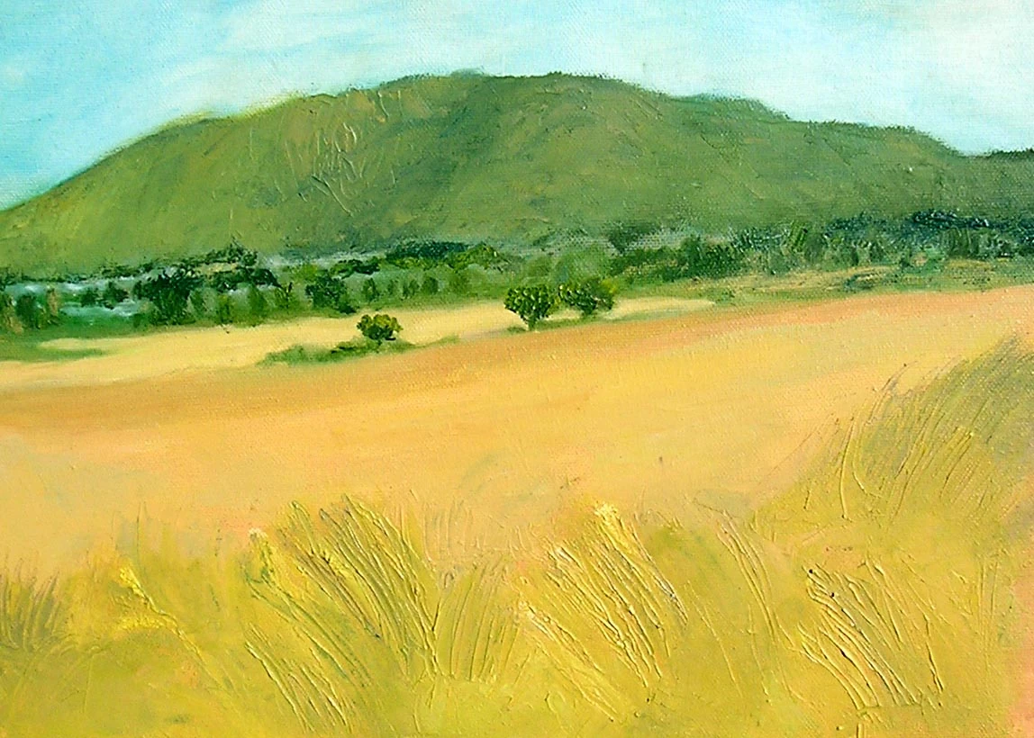 IL Terreno Al Mare