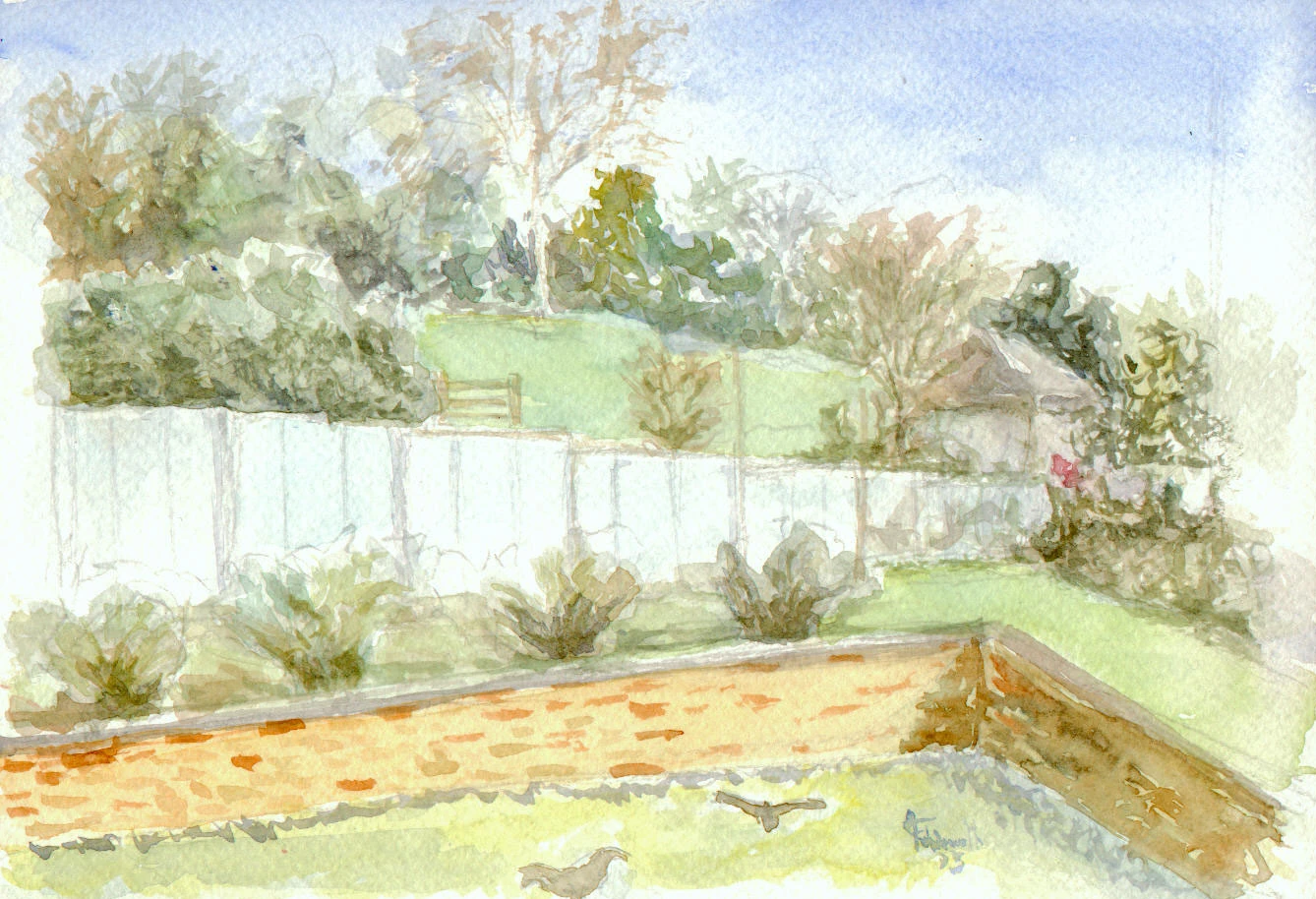 The back Garden