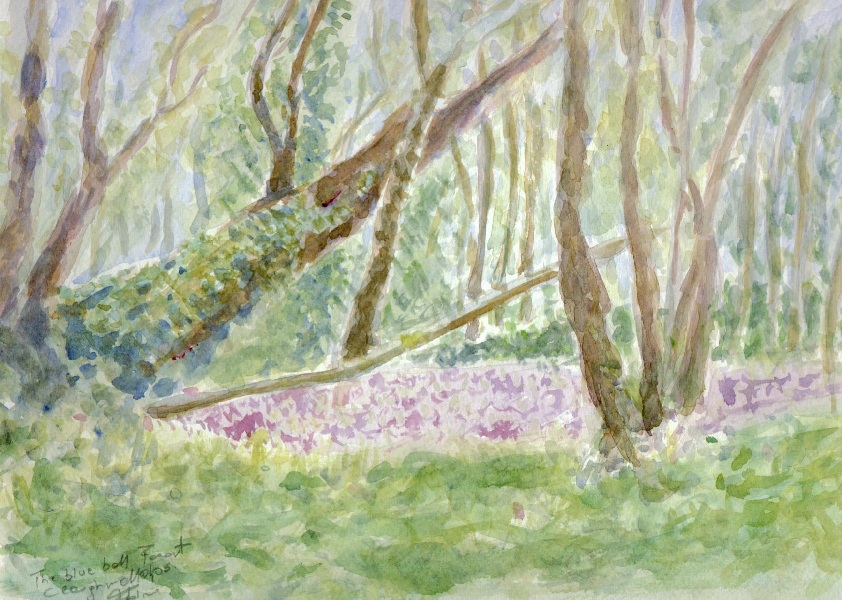 The blue bell forest