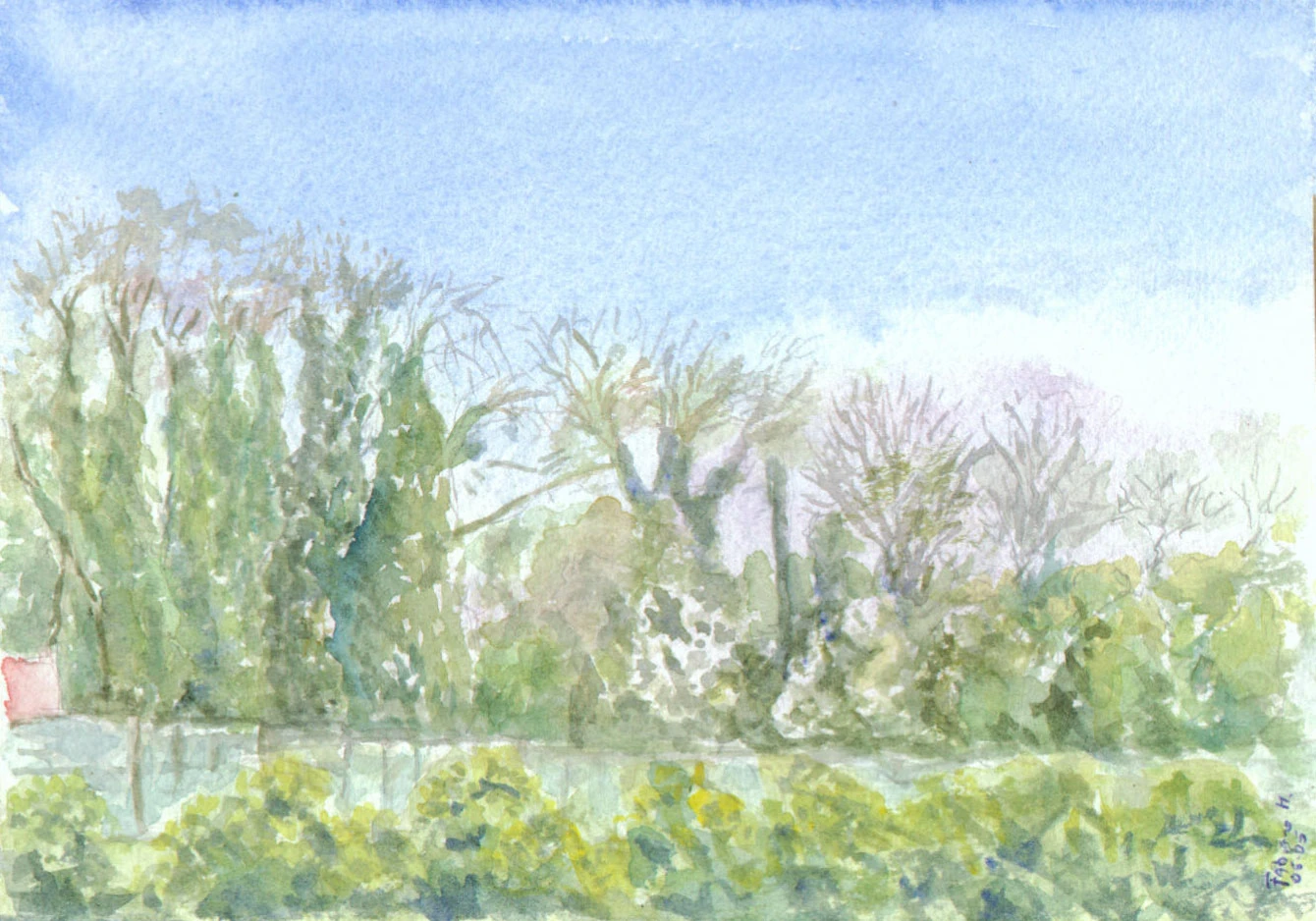 The far end of the garden