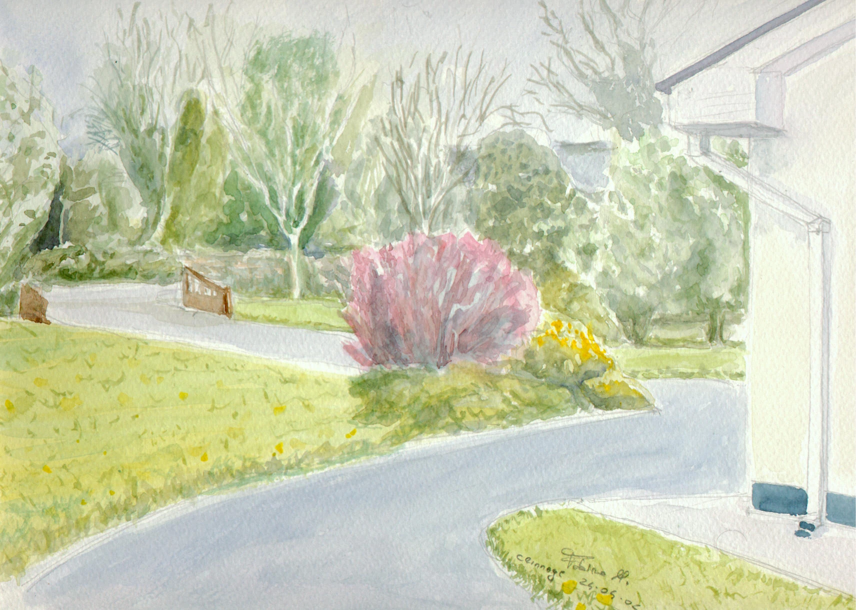 The front Garden